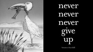 Never Give Up 