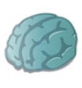 Home brain Home