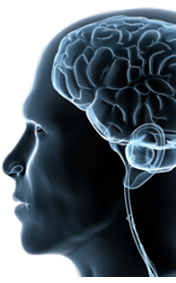 Home brain Home